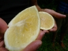 Bästa grapefrukten